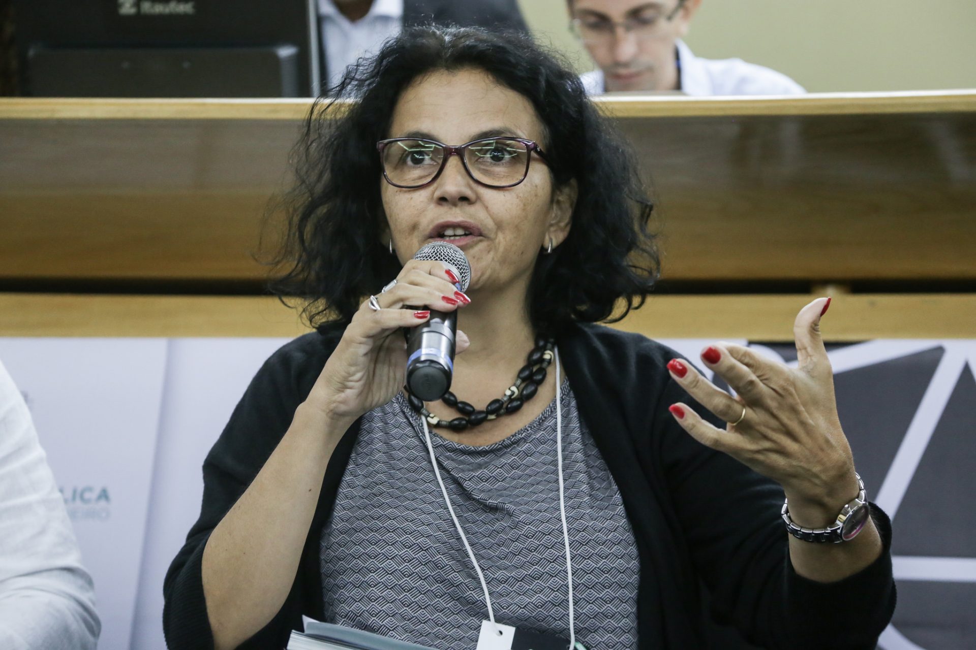 Coordenadora do Fundo Brasil fala sobre litigância estratégica em seminário