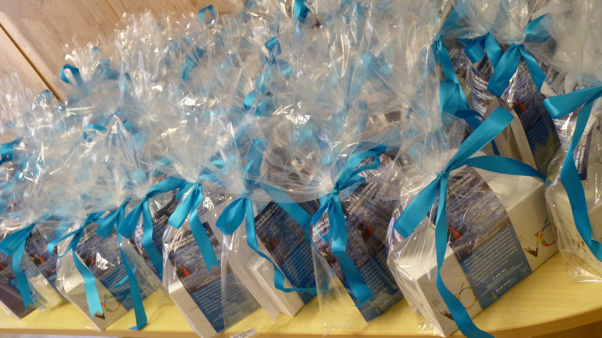 Program nets R$ 307,300 for foundation since 2010