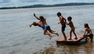 Raízes