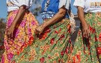 Aplicativo ajuda povos tradicionais a lutar por territórios