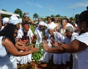 Com plantio do baobá no centro da cidade e ensino afro nas escolas, coletivo enfrenta o racismo em Jaú