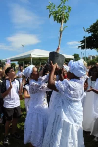 Mulheres carregam muda de Baobá durante cerimônia de plantio da árvore