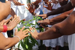 Baobá recebe as bênçãos de mulheres de terreiro.