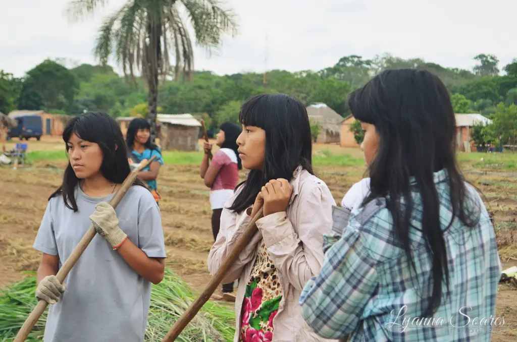 Na Agrofloresta Xavante, são cultivados alimentos suficientes para uma aldeia inteira (Foto: Lyanna Soares/Acervo AMAR)