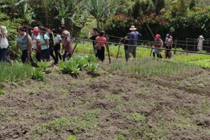 Associação dos Agricultores da Comunidade de Volta da Serra