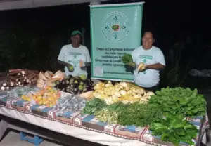 Foto: Reprodução Instagram @camponesasdolavrado