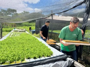 Foto: Associação Comunitária Quilombola de Pitombeira