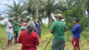 Foto: Associação Comunitária Quilombola de Pitombeira