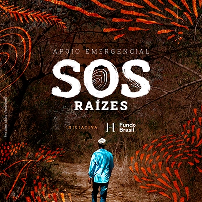 Emergenciais Raízes