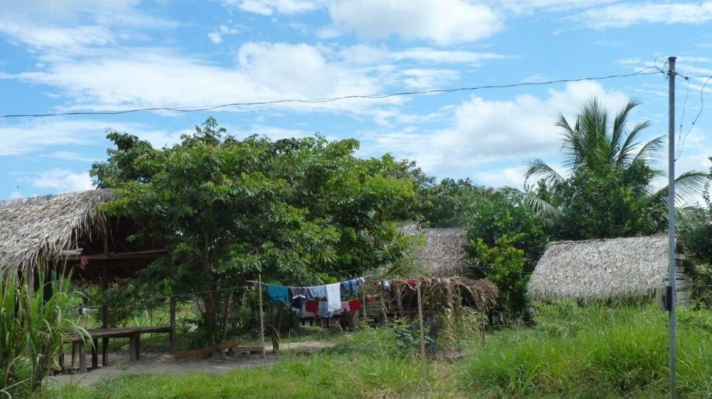 2012 - Visit to ‘Hunikui do Cacho’ Association of Growers and Agroextractivists in Acre