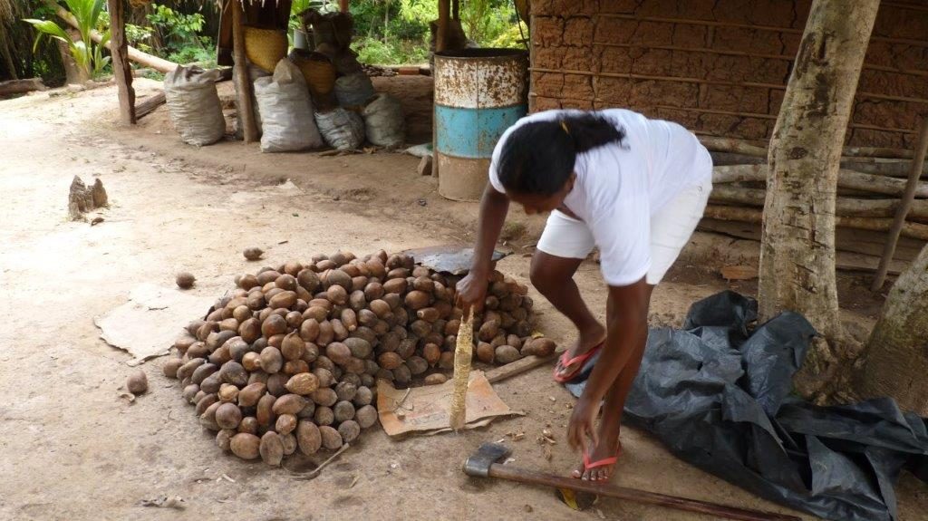 2012 - Visit to Association of Women Babaçu Coconut Huskers of São Luiz Gonzaga / AMTQC - Maranhão